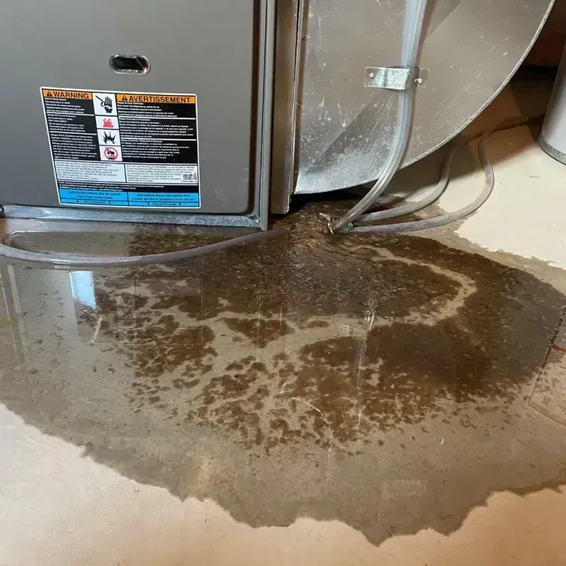 Appliance Leak Cleanup in Riverside, PA